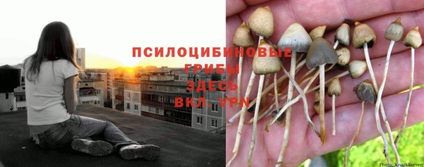 экстази Абаза