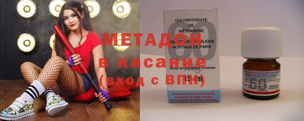 прущие грибы Абинск