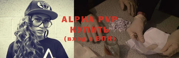 прущие грибы Абинск