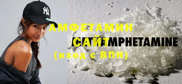 прущие грибы Абинск