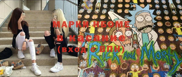 прущие грибы Абинск