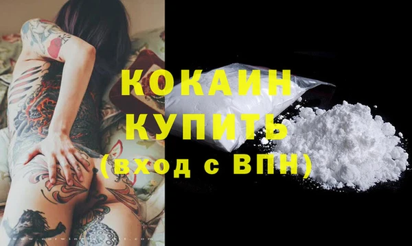 прущие грибы Абинск