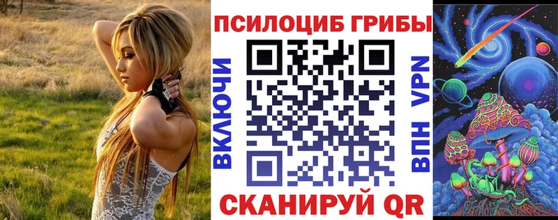 блэк спрут как зайти  Ялуторовск  Псилоцибиновые грибы GOLDEN TEACHER 